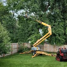 Best Weed Control  in Taylor, TX